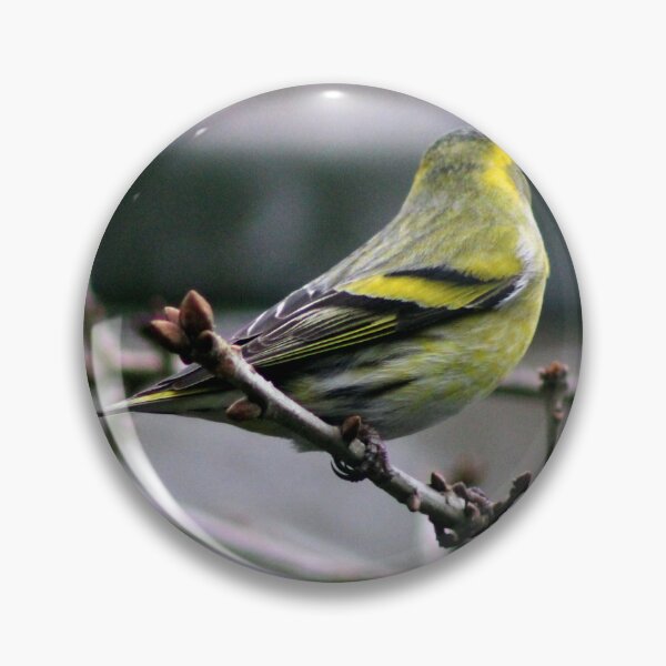 Item preview, siskin designed and sold by KathleenDawson.