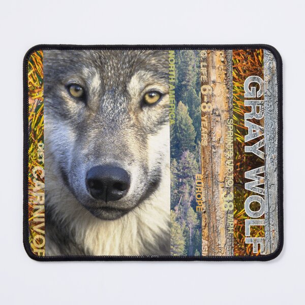 Item preview, Gray Wolf Hiding designed and sold by TangentsTees.