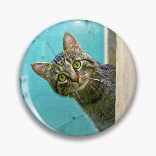 Item preview, Cat - Cat designed and sold by Imagination75.