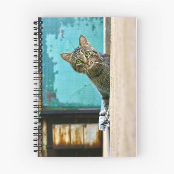 Item preview, Cat - Cat designed and sold by Imagination75.