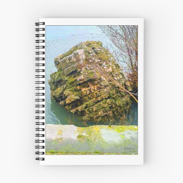 Item preview, Pont de Constantin (Arelate), Arles, France designed and sold by NorbertRicaud.