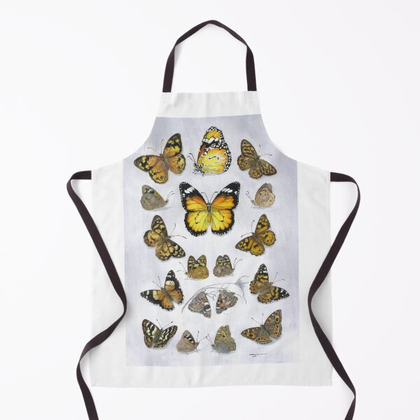 Item preview, Butterfly study - Tasmanian Browns designed and sold by melhillswildart.