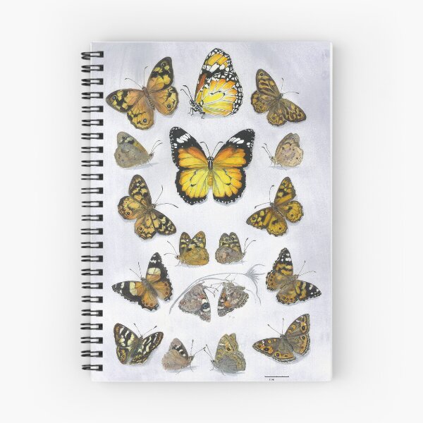 Item preview, Butterfly study - Tasmanian Browns designed and sold by melhillswildart.