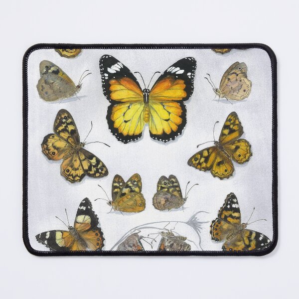 Item preview, Butterfly study - Tasmanian Browns designed and sold by melhillswildart.