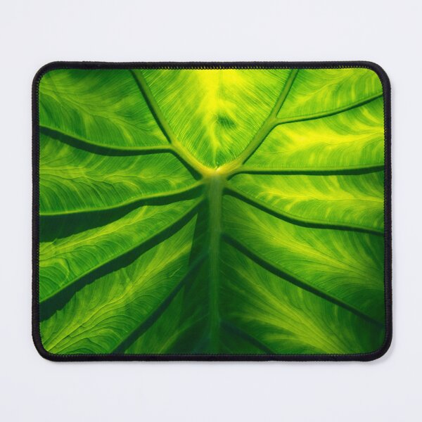 Item preview, Boldly Viridescent Giant Elephant Ear Tropical Leaf designed and sold by Georgia Mizuleva.