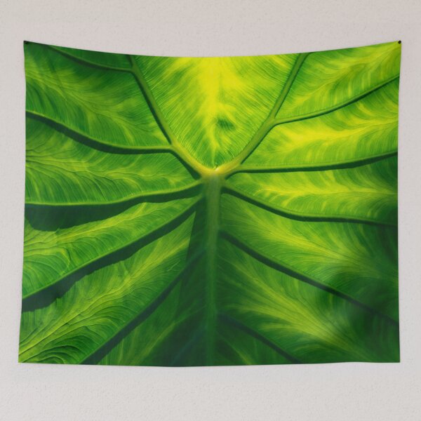 Item preview, Boldly Viridescent Giant Elephant Ear Tropical Leaf designed and sold by Georgia Mizuleva.