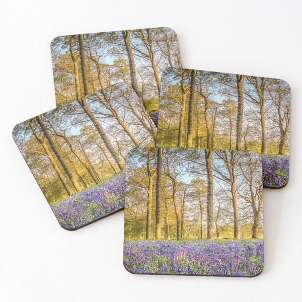 Item preview, Sunrise in the Bluebell Wood  designed and sold by Jim Key.