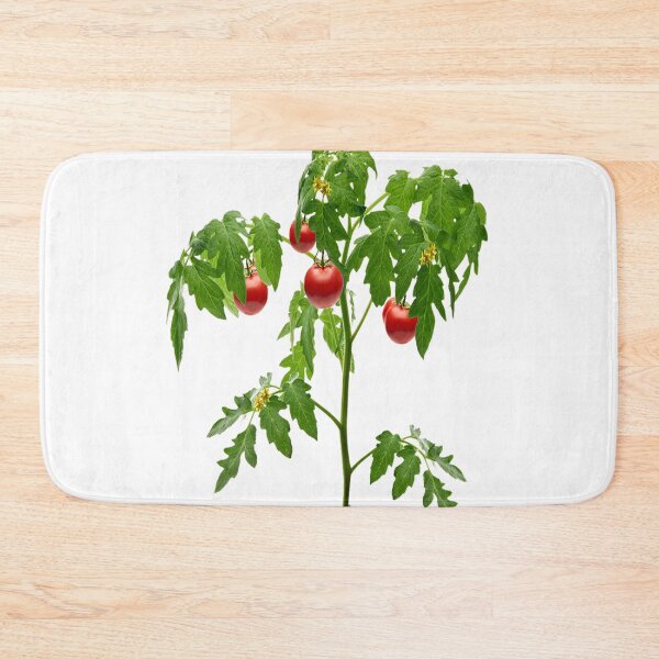 Item preview, Tomato T-shirt Design  designed and sold by The Happiness Market .