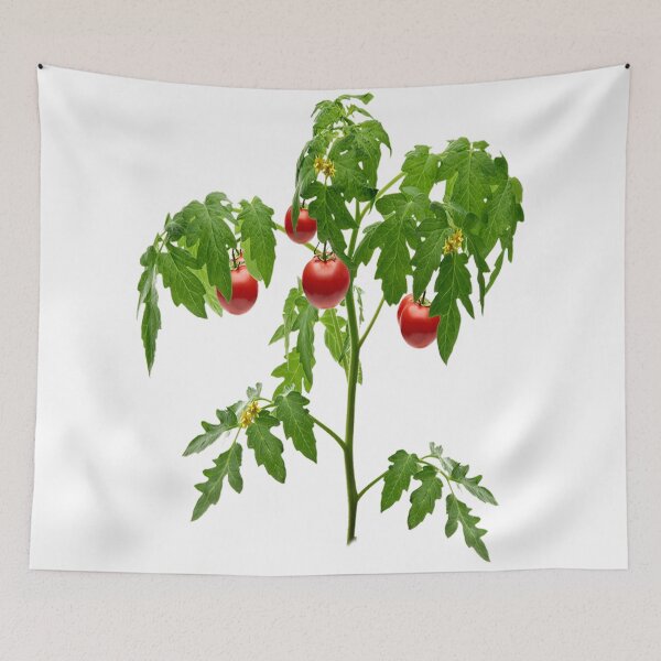Item preview, Tomato T-shirt Design  designed and sold by The Happiness Market .