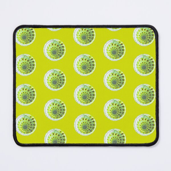 Item preview, Sundial Shell Polka Dot in Chartreuse designed and sold by LisaLeQuelenec.