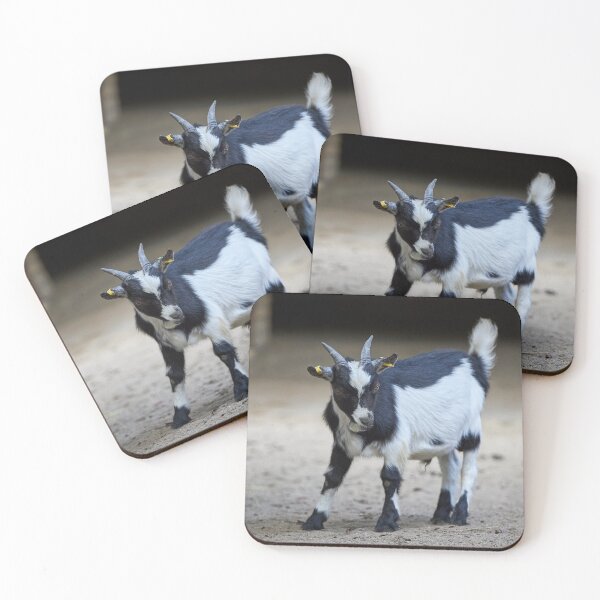 Item preview, Beautiful goat posing designed and sold by ThomasFoto.