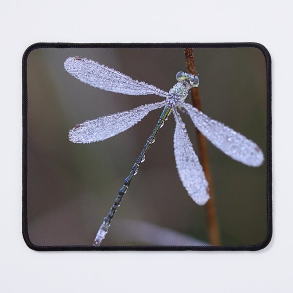 Item preview, Jewel of Nature designed and sold by Jo Nijenhuis.