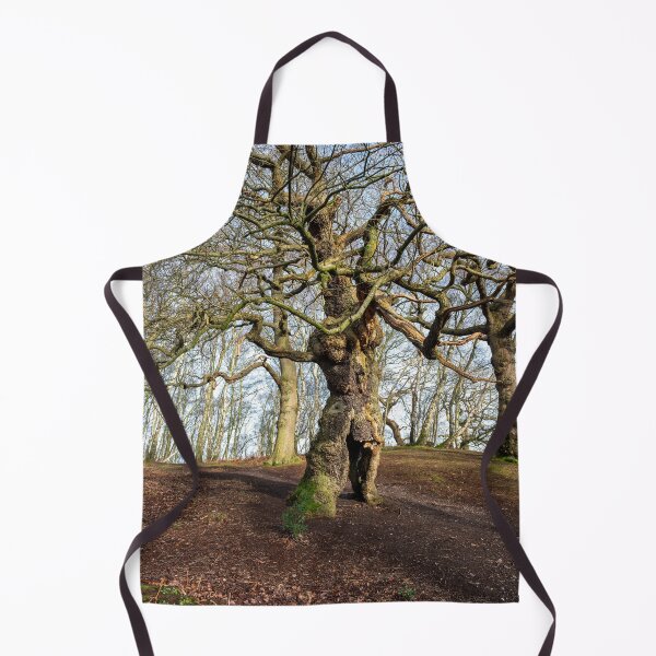 Item preview, Ancient oak human groot tree Cannock Chase, Staffordshire. designed and sold by RobThorley.