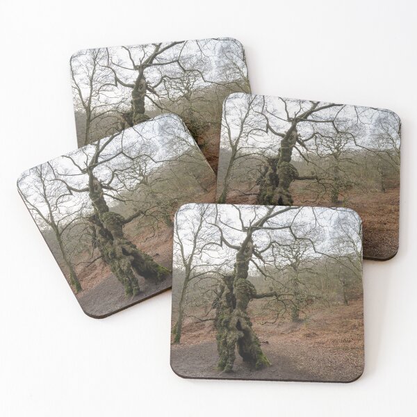 Item preview, Ancient oak human groot tree Cannock Chase, Staffordshire. designed and sold by RobThorley.