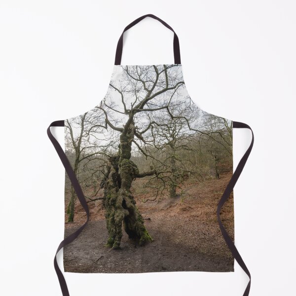 Item preview, Ancient oak human groot tree Cannock Chase, Staffordshire. designed and sold by RobThorley.