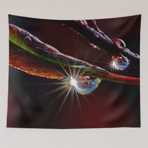 Item preview, Dew Drop Rays designed and sold by relayer51.