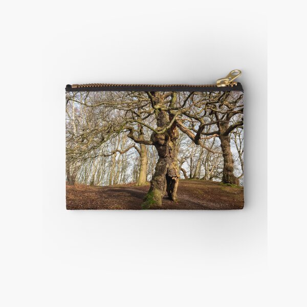 Item preview, Ancient oak human groot tree Cannock Chase, Staffordshire. designed and sold by RobThorley.