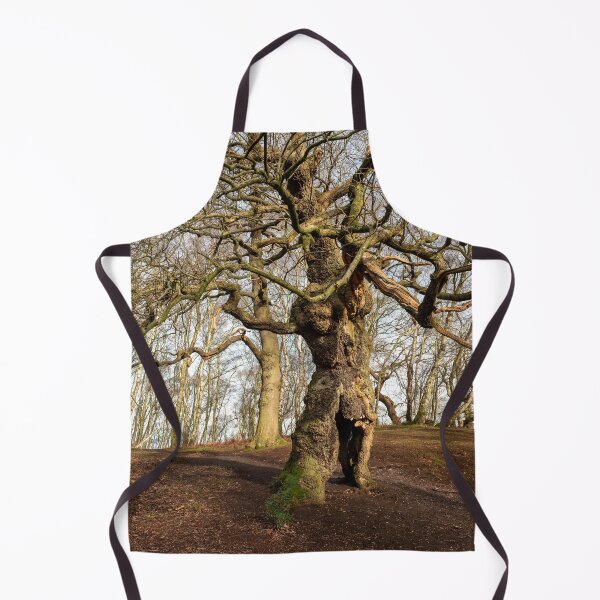 Item preview, Ancient oak human groot tree Cannock Chase, Staffordshire. designed and sold by RobThorley.
