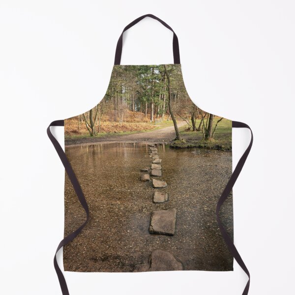 Item preview, Stepping stones at Sherbrook valley, Cannock Chase, Staffordshire. designed and sold by RobThorley.
