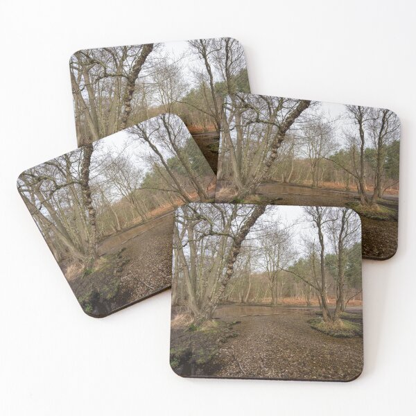 Item preview, Stepping stones at Sherbrook valley, Cannock Chase, Staffordshire. designed and sold by RobThorley.