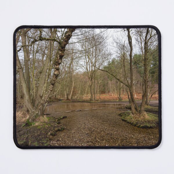 Item preview, Stepping stones at Sherbrook valley, Cannock Chase, Staffordshire. designed and sold by RobThorley.