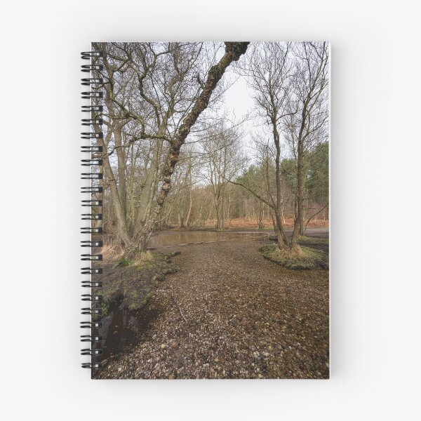 Item preview, Stepping stones at Sherbrook valley, Cannock Chase, Staffordshire. designed and sold by RobThorley.