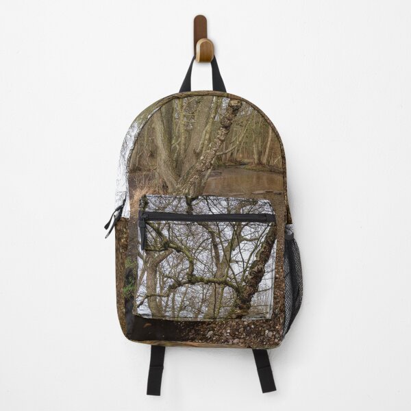 Item preview, Stepping stones at Sherbrook valley, Cannock Chase, Staffordshire. designed and sold by RobThorley.