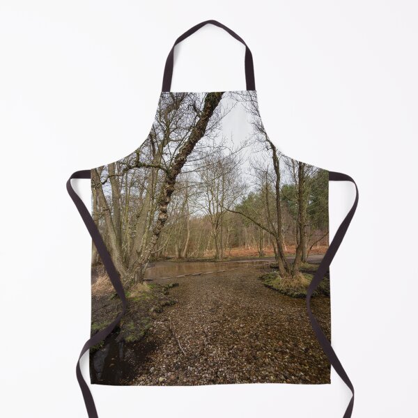 Item preview, Stepping stones at Sherbrook valley, Cannock Chase, Staffordshire. designed and sold by RobThorley.