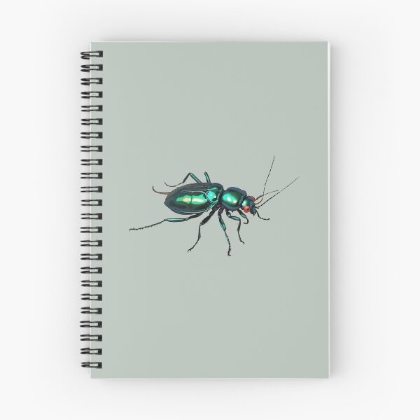 Item preview, tiger beetle- designed and sold by Atlantico54.