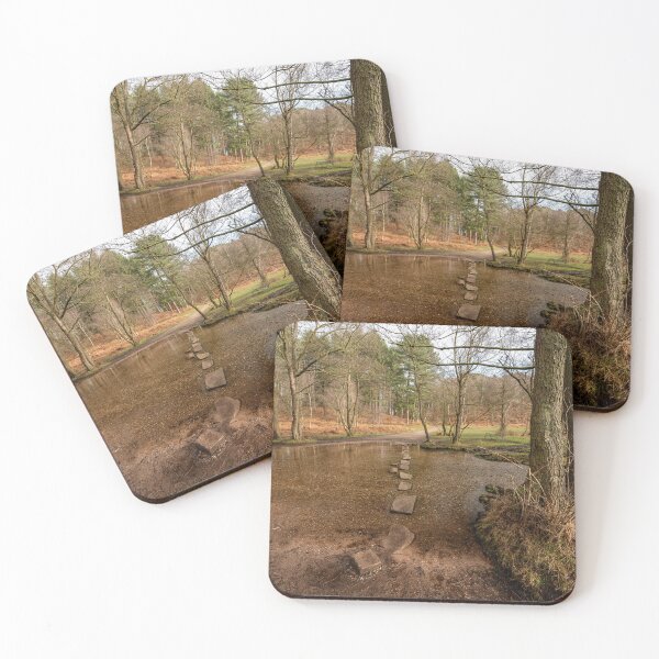Item preview, Stepping stones at Sherbrook valley, Cannock Chase, Staffordshire. designed and sold by RobThorley.