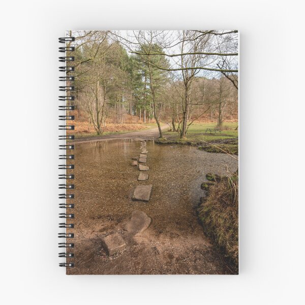 Item preview, Stepping stones at Sherbrook valley, Cannock Chase, Staffordshire. designed and sold by RobThorley.