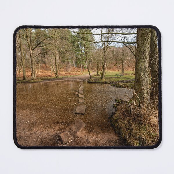 Item preview, Stepping stones at Sherbrook valley, Cannock Chase, Staffordshire. designed and sold by RobThorley.