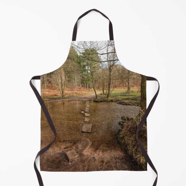 Item preview, Stepping stones at Sherbrook valley, Cannock Chase, Staffordshire. designed and sold by RobThorley.