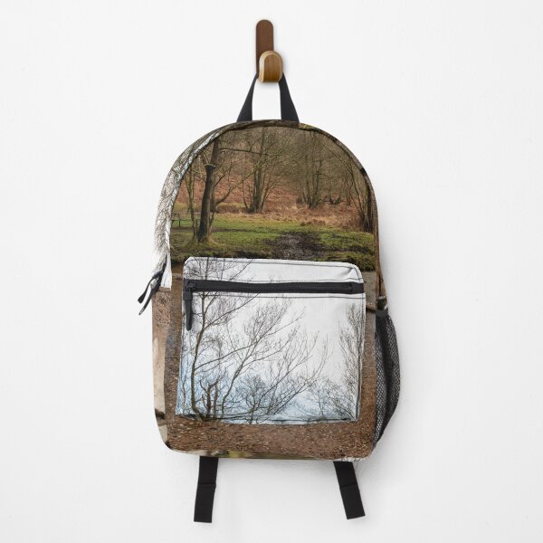 Item preview, Stepping stones at Sherbrook valley, Cannock Chase, Staffordshire. designed and sold by RobThorley.