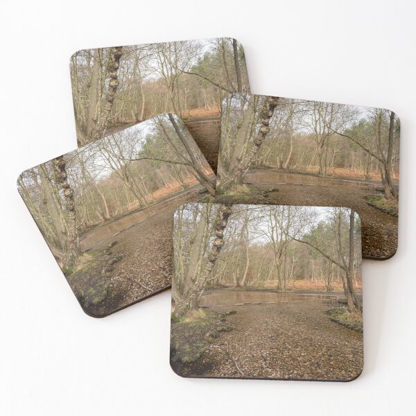 Item preview, Stepping stones at Sherbrook valley, Cannock Chase, Staffordshire. designed and sold by RobThorley.
