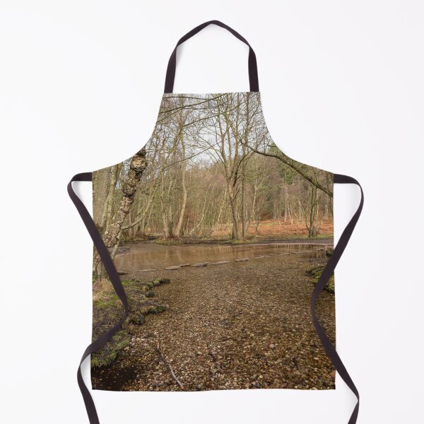 Item preview, Stepping stones at Sherbrook valley, Cannock Chase, Staffordshire. designed and sold by RobThorley.