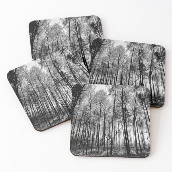 Item preview, The Silence Of Trees - Black & White photography designed and sold by XriArt by Christina Betke.