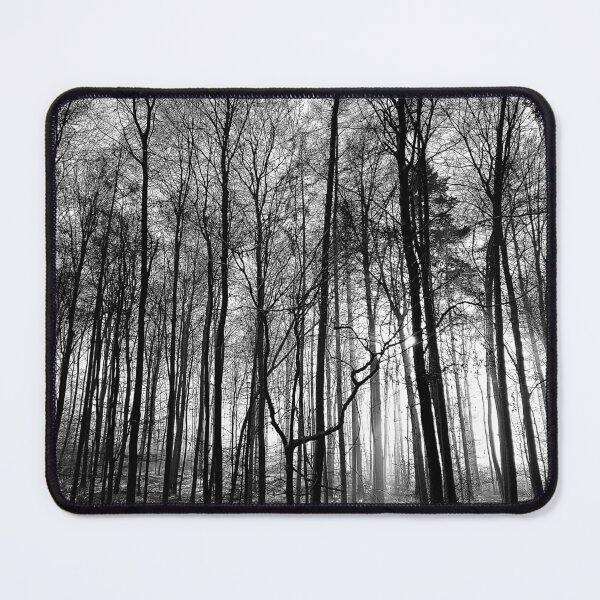 Item preview, The Silence Of Trees - Black & White photography designed and sold by XriArt by Christina Betke.
