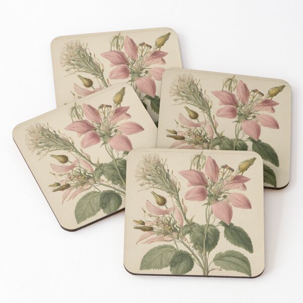Item preview, Botanical (flowers c) designed and sold by BoxcarDesigns.