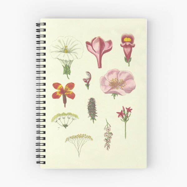 Item preview, Botanical art illustration designed and sold by Falcaria.