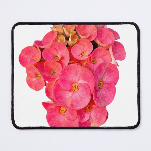 Item preview, Pink Poy Sian flower designed and sold by Roots-UK.
