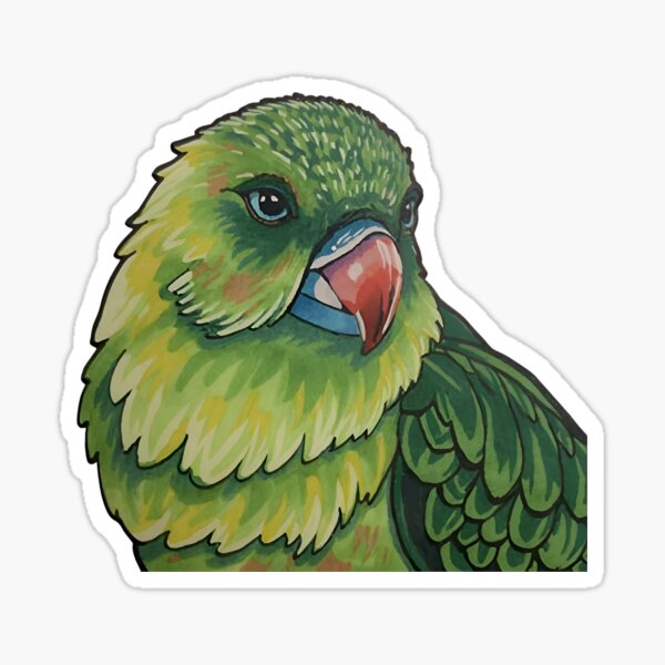 Item preview, flightless x flightless designed and sold by The  Knick Knack Nook.