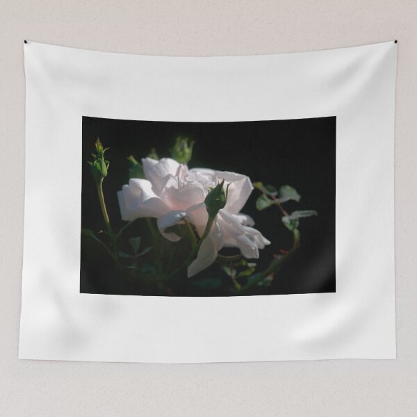 Item preview, Pink rose on black background designed and sold by olena2552.