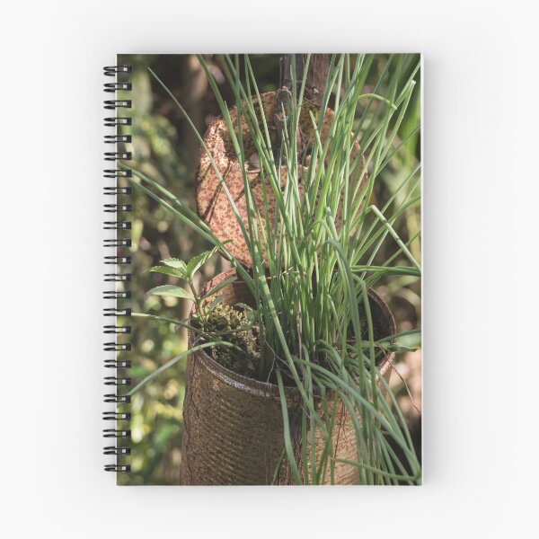 Item preview, Chives designed and sold by ROSE ANN BANILAR.