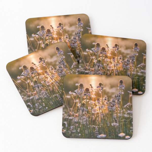 Item preview, Wildflowers in the Sunset No4 -Gardening and Nature  designed and sold by Katrina-Clayton.