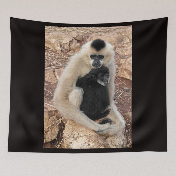 Item preview, Gibbon Family Serenity  designed and sold by EpicVistas.