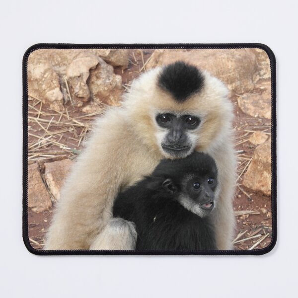 Item preview, Gibbon Family Serenity  designed and sold by EpicVistas.
