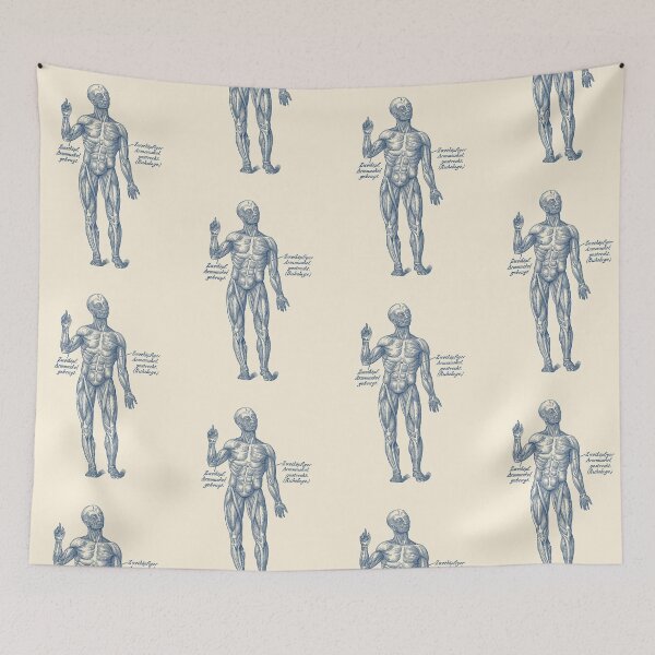 Item preview, Arm Muscular System - German Diagram  designed and sold by VAposters.