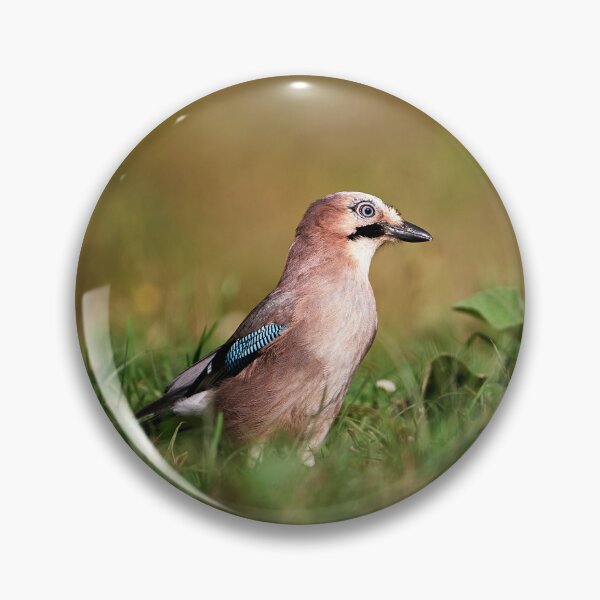 Item preview, "Jay (Garrulus glandarius)" designed and sold by Andreas Koerner.