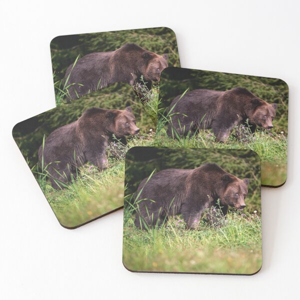 Item preview, "Shy European brown bear (Ursus arctos arctos)" designed and sold by Andreas Koerner.